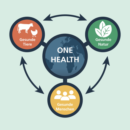 Schematische Darstellung der Zusammenhänge im Konzept One Health: in der Mitte ist eine Weltkugel mit der Inschrift "One Health" zu sehen. Mit ihr sind drei etwas kleinere Kreise verbunden: Ein Kreis mit der Inschrift "Gesunde Tiere" zeigt ein Huhn und eine Kuh, ein Kreis mit der Inschrift "Gesunde Natur" zeigt ein Blatt und ein Kreis mit der Inschrift "Gesunde Menschen" zeigt die eine Gruppe Menschen. Die drei kleineren Kreise sind nicht nur mit dem Kreis in der Mitte, sondern auch miteinander verbunden. 