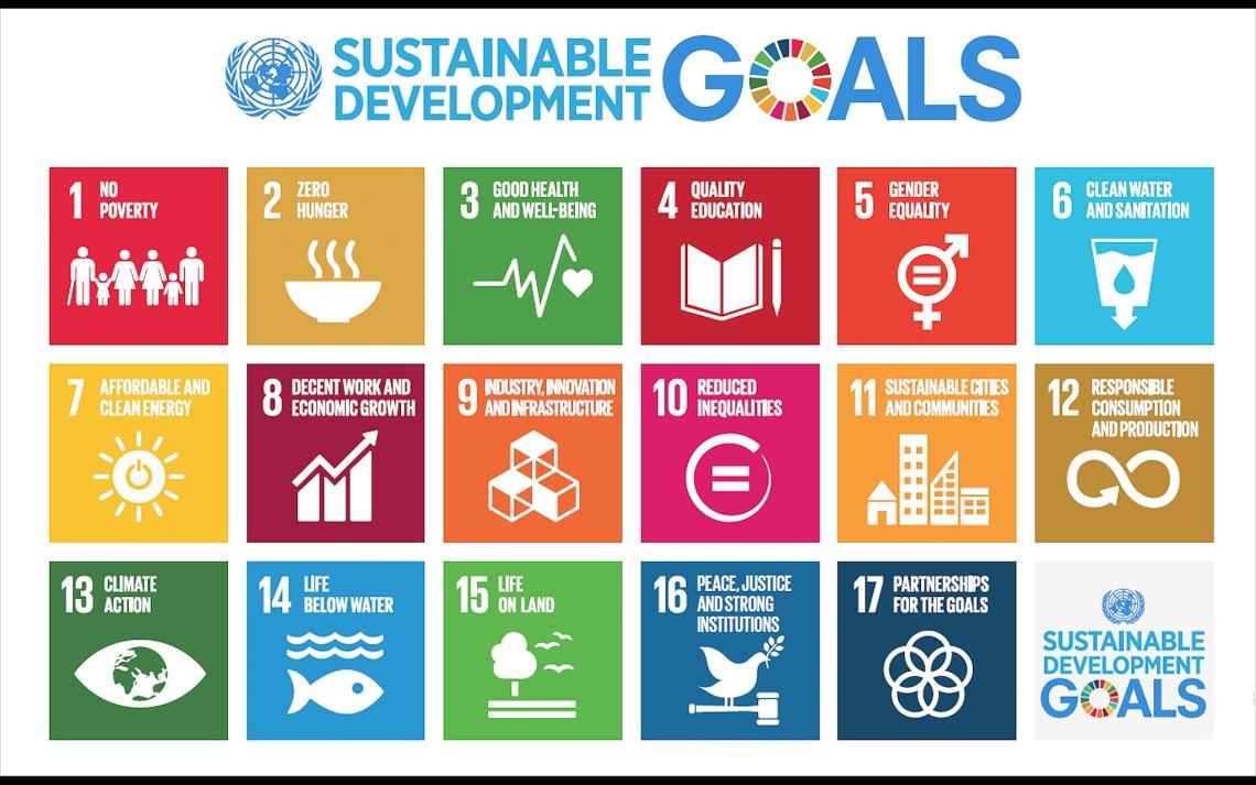 sustainable development goals