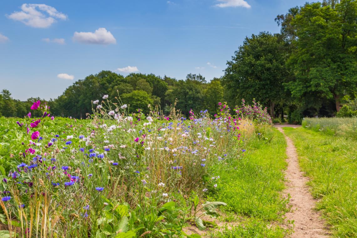 Biodiversität