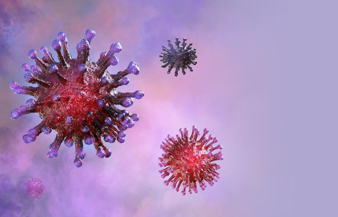 Corona Virus