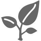 Icon Pflanze Icon Pflanze