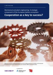 Study: Cooperation as a key to success?